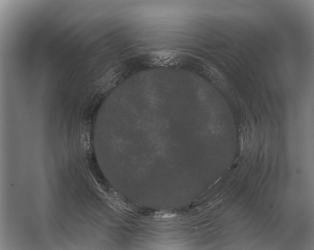 X0000062630602200601041033