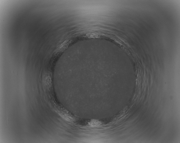 X0000062630603200601041033