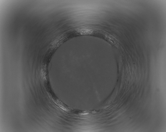 X0000062630604200601041033