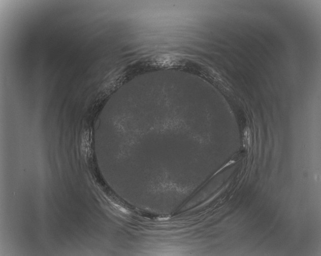 X0000062630605200601041033