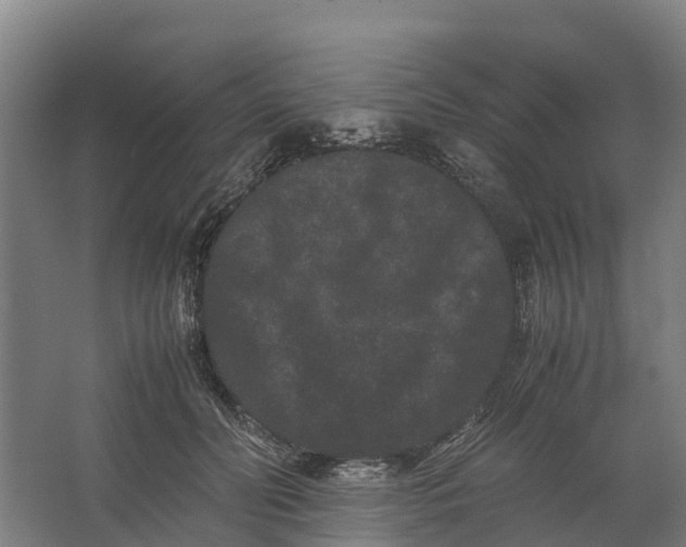 X0000062630606200601041033