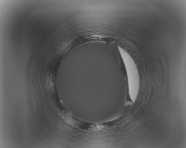 X0000062630607200601041033