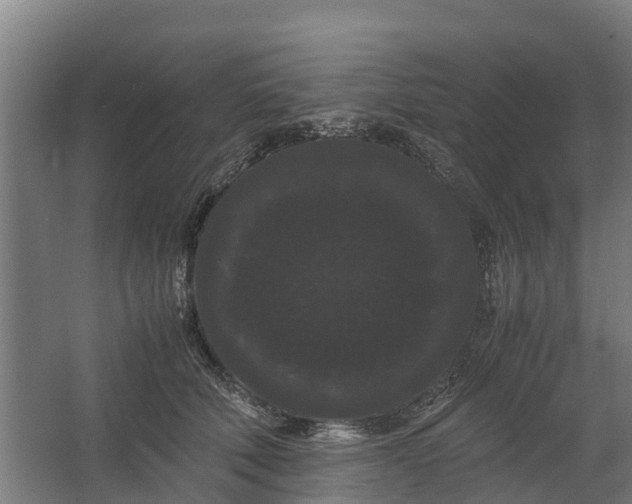 X0000062630610200601041033