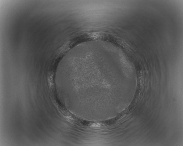 X0000062630611200601041033