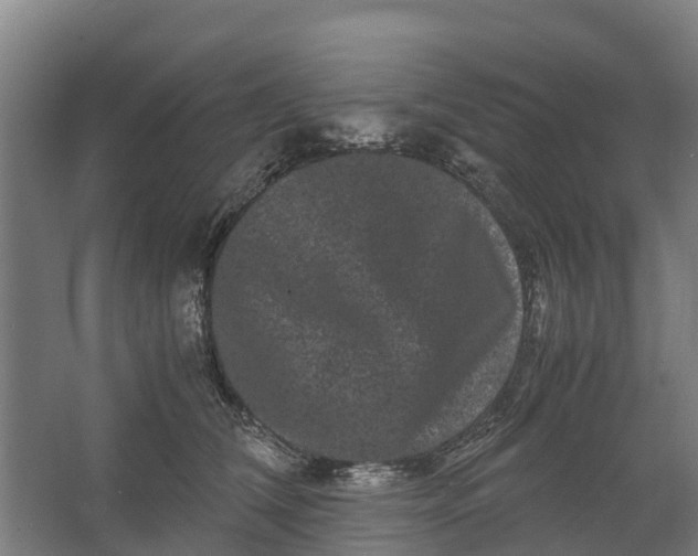 X0000062630612200601041033