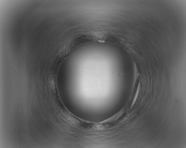 X0000062630613200601041033