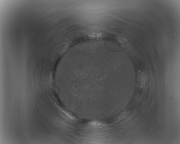 X0000062630614200601041033