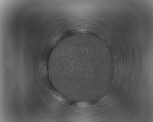 X0000062630615200601041033