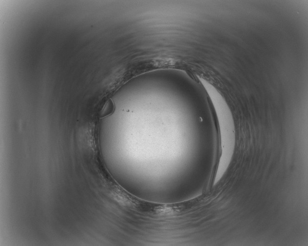 X0000062630616200601041033