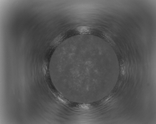 X0000062630618200601041033