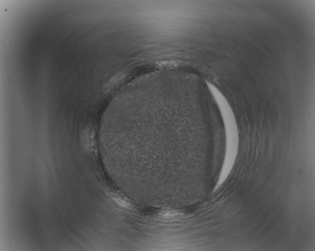 X0000062630619200601041033