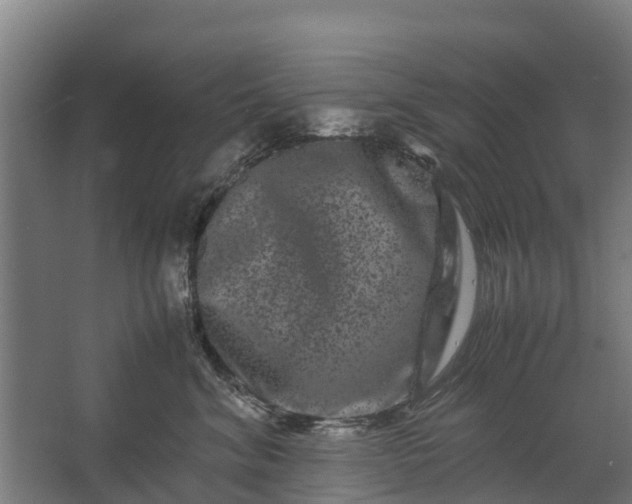 X0000062630620200601041033