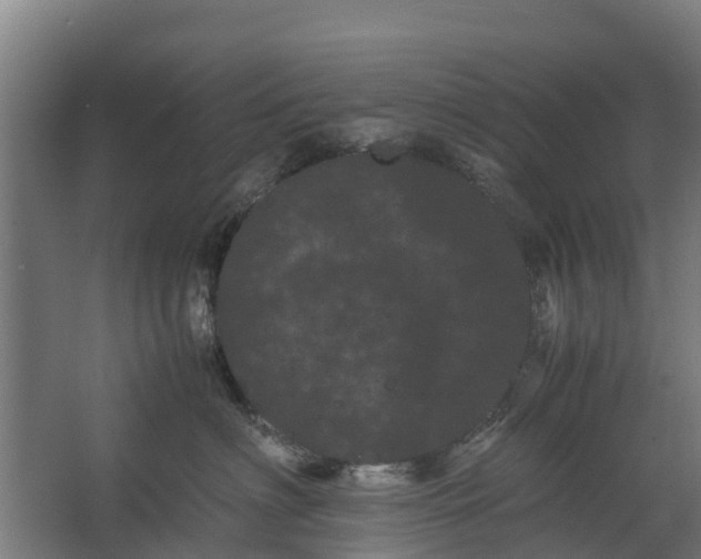 X0000062630622200601041033