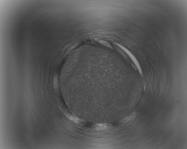 X0000062630623200601041033