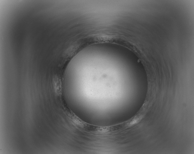 X0000062630624200601041033