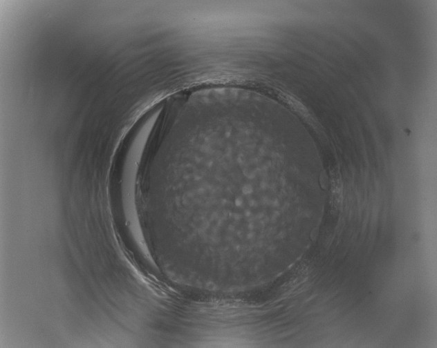 X0000062630626200601041032