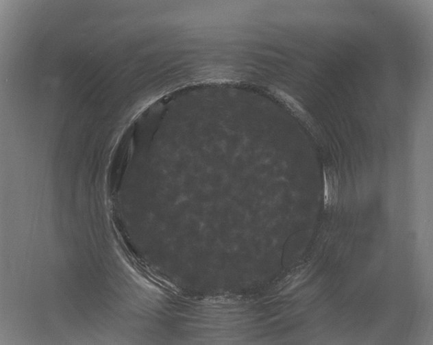 X0000062630627200601041032