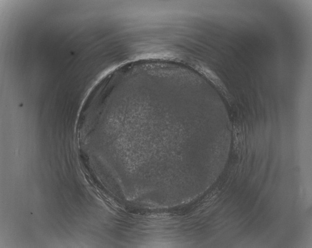 X0000062630628200601041032