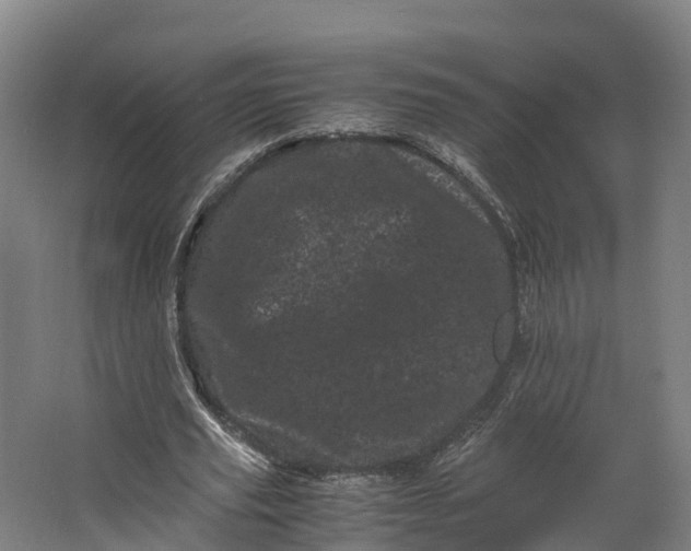 X0000062630629200601041032