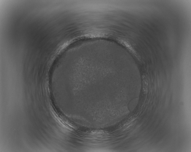 X0000062630631200601041032