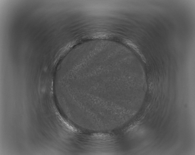 X0000062630633200601041032