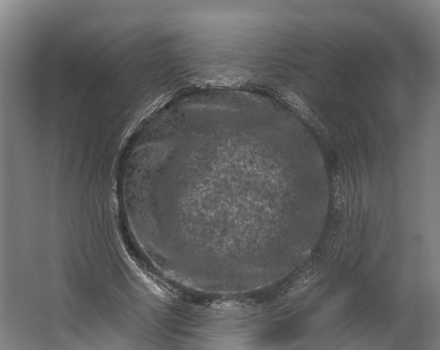 X0000062630634200601041032