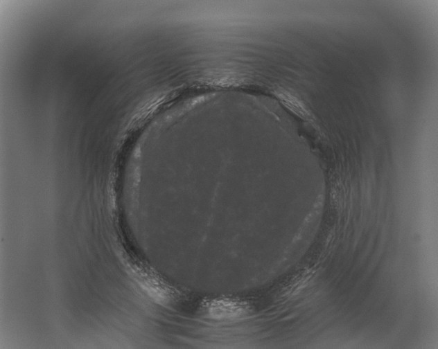 X0000062630635200601041032