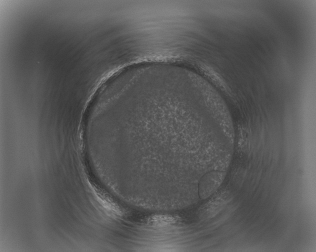 X0000062630636200601041032