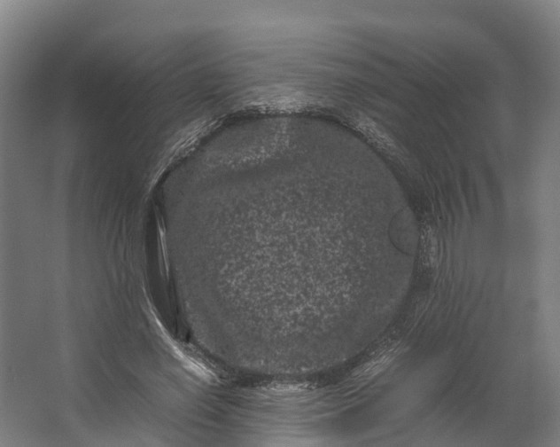 X0000062630638200601041032