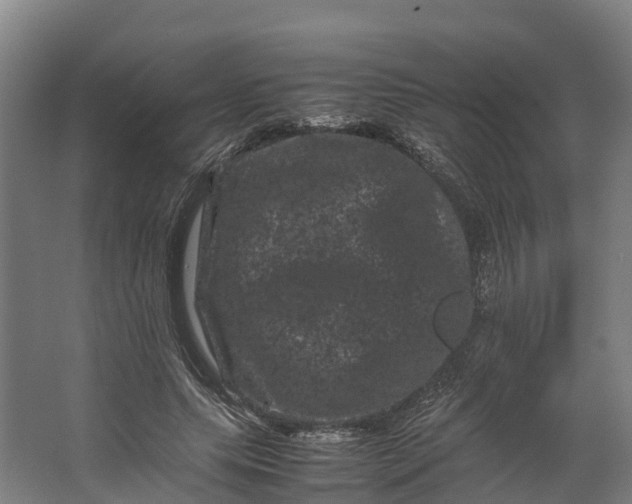 X0000062630639200601041032