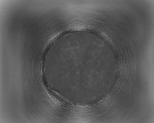 X0000062630640200601041032