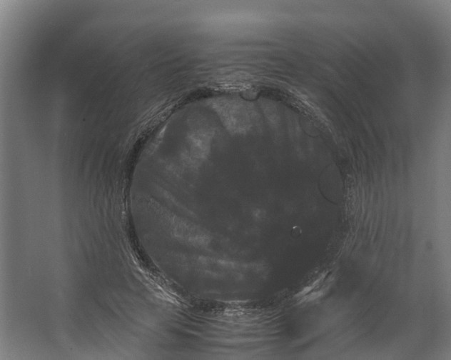 X0000062630641200601041032