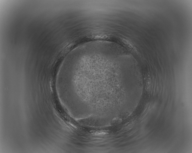 X0000062630643200601041032