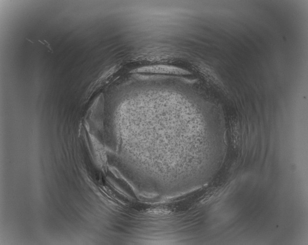 X0000062630644200601041032