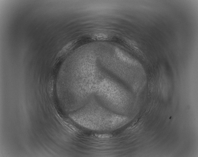 X0000062630645200601041032