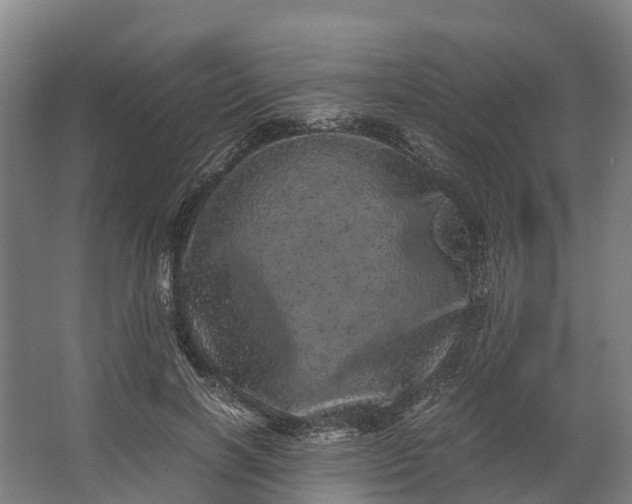 X0000062630646200601041032