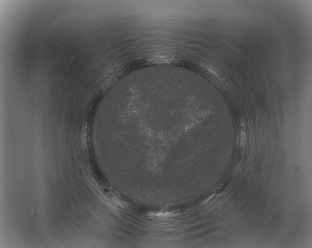 X0000062630647200601041032