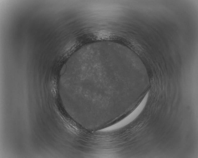 X0000062630648200601041032