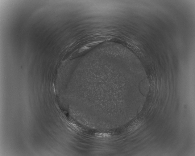 X0000062630649200601041032