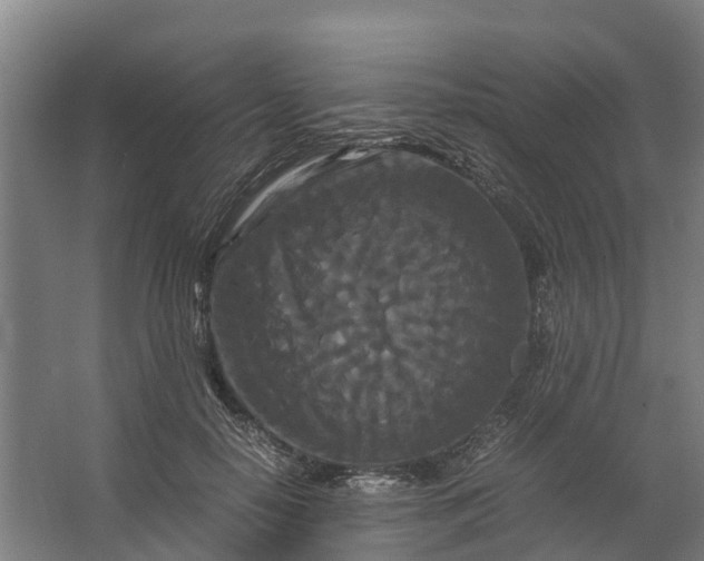 X0000062630650200601041032