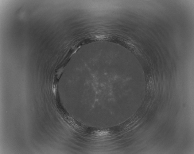 X0000062630651200601041032