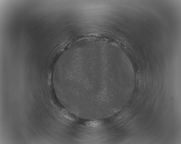 X0000062630652200601041032