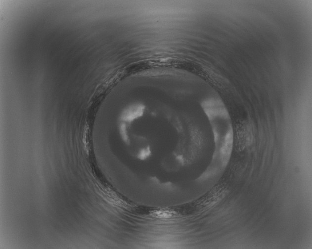 X0000062630654200601041032