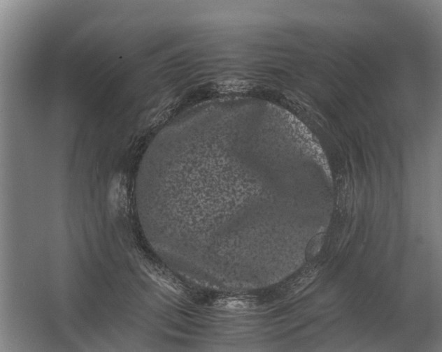 X0000062630655200601041032