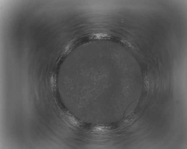 X0000062630657200601041032