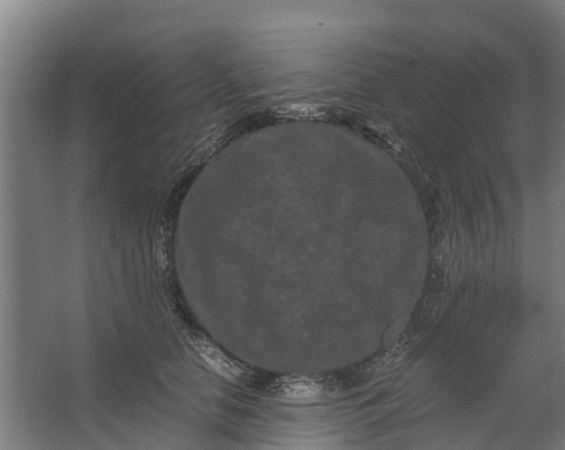 X0000062630658200601041032