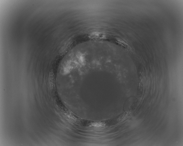 X0000062630659200601041032