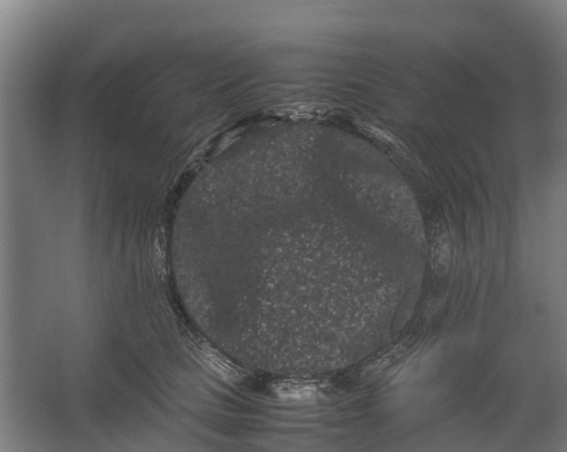 X0000062630661200601041032