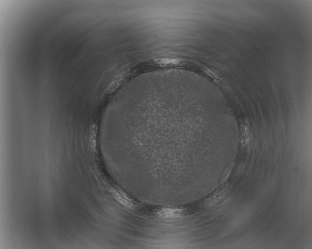 X0000062630664200601041032