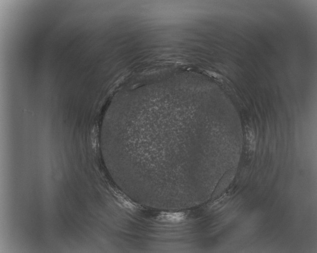 X0000062630665200601041032